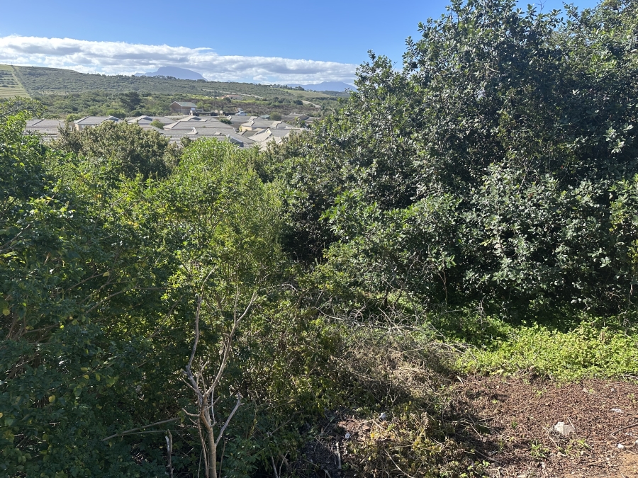 0 Bedroom Property for Sale in Tergniet Western Cape